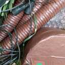 OUSHENG 7' Solar Lighted Palm Trees for Outside Patio, Bar Pool Deck Outdoor Decorations Decor, Light Up LED Artificial Fake Tree Lights for Yard Tropical Party Christmas