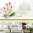 Waydress 4 Pcs 2.8 Inch Plastic Flower Frog Flower Pins Floral Frog for Arrangements Vase Japanese Ikebana Kenzan Floral Arrangement for Crafts Fixed Tools, Wedding Decor, Mother's Day Gifts (Clear)