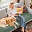 Hokway Couch Cushion Covers Stretch Cushion Covers Sofa Seat Cushion Slipcover Cushion Protector(Celadon, Medium)