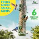 Bird Feeders for Outdoors (Green) Squirrel Proof Hanging Bird Feeder with Locking Lid & Adjustable Hanger, Chew-Proof, Weather Resistant 16 Inches 6 Port