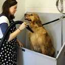 METROVAC MB-3 Air Force Master Blaster Pet Grooming Dryer | High Velocity Dog Hair Blower 8.0 HP Made in USA