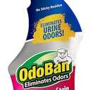 OdoBan Pet Solutions Oxy Stain Remover, Pet Stain Eliminator, 32 Ounce Spray