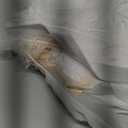 Angel Wings and Halo Adult Feather Angel Wings Costume for Women Halloween Cosplay Costumes (White)