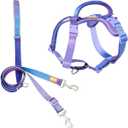 DF Freedom No Pull Martingale Dog Harness and Leash Set, Front Clip Adjustable Harness with Reflective & Padded Handle, Easy Walking & Training, Rainbow, 1", Chest 24.4" - 32.4"