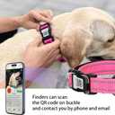 2 x Reflective Dog Collar with QR Code, Adjustable Dog Collar for Large Dogs, Soft Padded Dog Collars with Safety Locking Buckle, Rose
