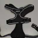 rabbitgoo Dog Harness No Pull with 2 Leash Clips, Adjustable Soft Padded, Reflective Oxford No Choke Pet Vest with Easy Control Handle for Large Dogs, Black, L