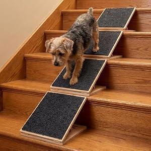 Cinnvoice 4 Packs Dog Ramp for Stairs Adjustable 5.5 to 7.48 Inch Height Foldable Wooden Pet Ramp with Non-Slip Carpet Surface for Indoor Small Dogs Cats Senior Pets (11.81 Inches/ 30 cm)