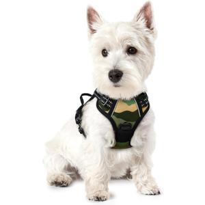 rabbitgoo Dog Harness No Pull with 2 Leash Clips, Adjustable Soft Padded, Reflective Oxford No Choke Pet Vest with Easy Control Handle for Large Dogs, Green Mountain,XS