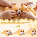 Hungdao 2 Pcs Orange Cat Tabby Stress Toys PU Foam Cat Stress Balls Squeeze Sensory Toys Funny Appreciation Gift for Anxiety Relief Prize Fidget Party Favor Adults Cute Office Desk Accessory