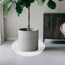 Bleuhome 6 Pack Plant Saucer Tray, 4 5 6 8 10 12 13 15 17 19 inch Plant Saucers, Heavy Duty Plastic Plant Drip Trays for Indoors, Flower Plant Water Tray, Plant Trays for Pots Base (6 inch, Clear)