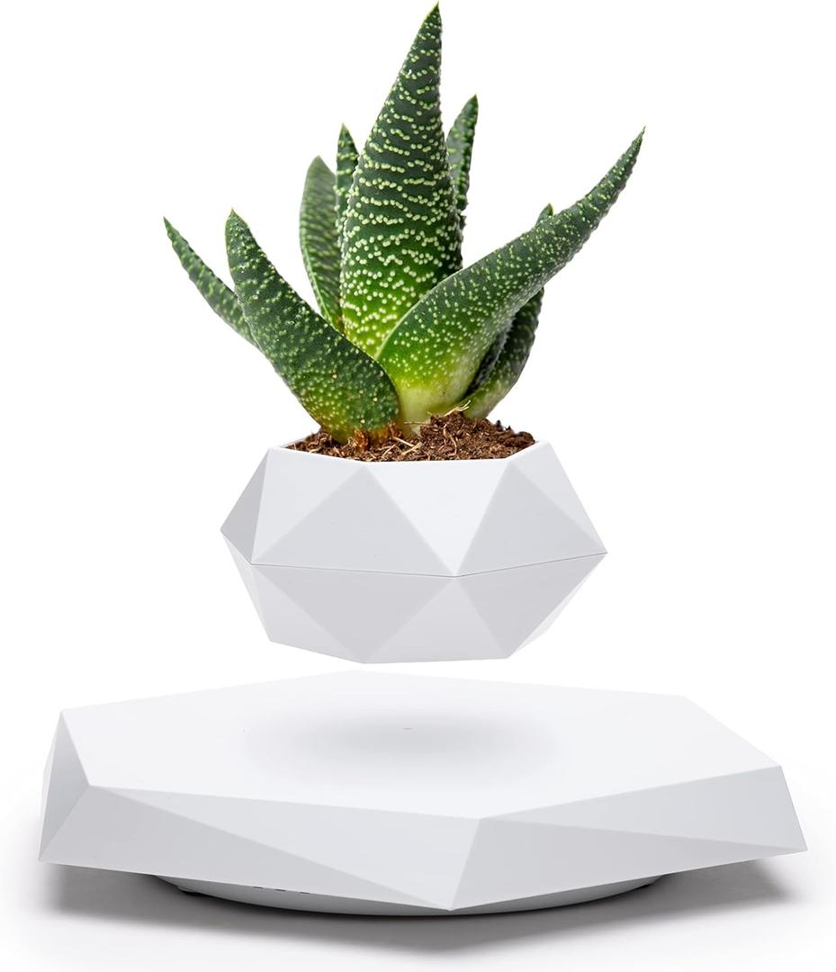 BandDlevs Floating Pots for Plants - Levitating Pot - Levitating Planter for Bonsai, Succulents, Air Plants - Floating Magnetic Display for Home Office Desks - Magnetic Levitation Plant Holder (White)