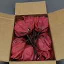 Alupssuc 16 PCS Poinsettia Christmas Flowers Artificial, Glitter Magnolia Poinsettia Flowers Artificial, Sparkling Christmas Decorations for Xmas Tree Party Wreath Fireplace, Burgundy