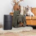 Sans HEPA 13 Air Purifier - Black - 1560ft Ultra-Quiet Home Air Purifier, Pre-Filter, Activated Carbon, UV-C Light, Protect from Odors, Smoke, Pollutants, Allergens, Dust, Dander, Harmful Chemicals