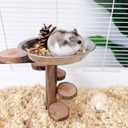 Hamster Food Bowl with Climbing Toys Ladder Stairs, Rat Toys for Pet Rats, Hamster Accessories for Cage, Pet Feeder Food Dish