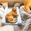 DenMate - On-Bed Dog Bed for Medium/Large Dogs (26x40), Stabilizing 100% Cotton Bolsters for Night Movement, Improves Comfort & Sleep for Dogs & Owners, Machine Washable Pet Mattress (Blue)