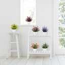 Yoratee Artificial Small Plant 6pcs Fake Flower Potted Plant Bathroom Faux Plant for Indoor Decor Window Tabletop Office Colorful Flower