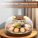 Series I-Automatic 12-Egg Incubator for Beginners, Auto Egg Turn, Steady Self-Regulating Humidity & Consistent Temperature Control for Hatching Chicken, Goose, Duck, Quail, Pigeon(12-Egg-Brown)