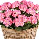 Artificial Geraniums Flowers for Outdoors, 6 Bundles Realistic Silk Fake Geranium, No Fade Faux Plants for Hanging Baskets, Window Boxes, Pots - Porch, Patio, Garden Decor(Pink)