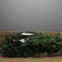 National Tree Company 7.5 ft Pre-Lit Downswept Douglas Fir Slim Artificial Christmas Tree, 350 Clear Lights, 796 Tips, Includes Stand, Green