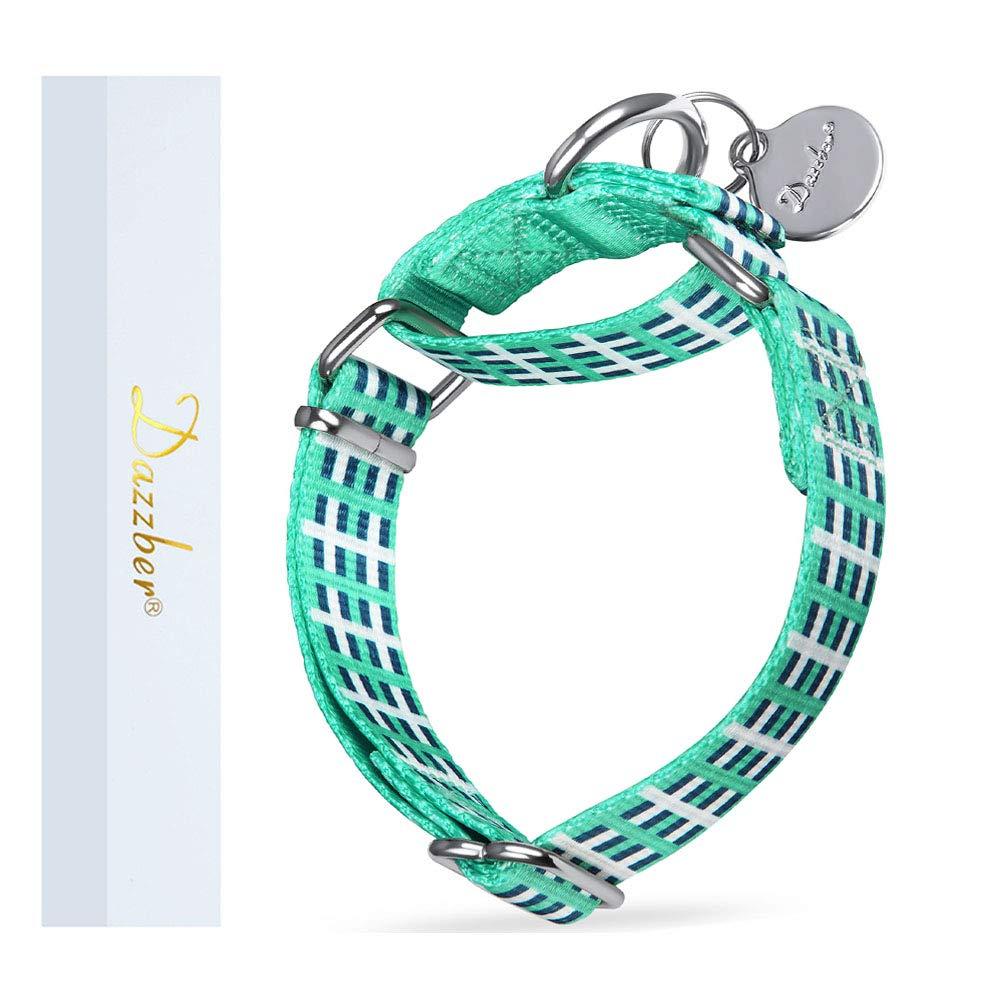 Dazzber Martingale Collar Nylon Dog Collar No Pull Pet Collar Heavy Duty for Medium Dogs, Adjustable 14 Inch - 21 Inch, Sky Blue