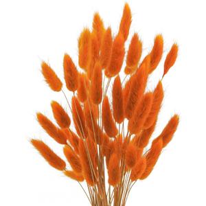 Uieke 120 Pcs Natural Bunny Tails Dried Flowers, 17 Dried Lagurus Ovatus, Orange Fall Dried Flowers for Fall Floral Arrangements Wedding Centerpieces Home Baby Shower Party Decorations