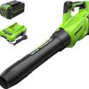 Greenworks 40V (130 MPH / 550 CFM ) Brushless Axial Leaf Blower, Ultra-Powerful for Wet Leaves, Heavy Debris, Gravel and Driveway Snow, Includes 4.0Ah Battery and Charger
