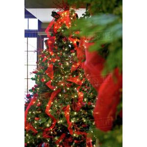 Decorations, Red Ribbon and Light