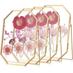 Yalikop 4 Pcs 5 x 7 Inches Glass Pressed Flower Frame Floating Picture Photo Octagon Frame, Double Tabletop Artwork Flower Plant Hanging Display for Home Office Wedding Gifts DIY Decor (Gold)