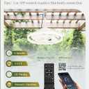 Fanbulous Outdoor Ceiling Fans with Light for Patios, 20" Weatherproof Plug in Ceiling Fan, Gazebo Fan Remote&APP Control, 3CCT Dimmable,Caged Ceiling Fan with Hanging Hook for Porch, Pergola,Canopy