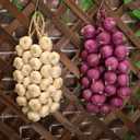 Gresorth 2pcs Artificial Onion String Fake Vegetable Home Party Christmas Harvest Decoration
