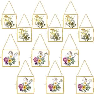 Kigley 12 Pcs Double Glass Frame 2.4" and 3.2" Small Square Glass Frames for Pressed Flowers with Chain for Display Gallery Artwork (Gold)