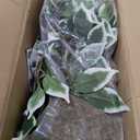 Artificial Ficus Tree, 5FT Tall Fake Tree Indoor, Lifelike Faux Ficus Tree with Natural Wood Trunks Branch Leaves for Home, Office, Living Room, Bedroom, Porch, Garden Outdoor Decor