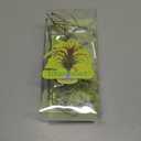 10 Pack Vertical Air Plant Holder (Suction Cup, Stainless Steel Tillandsia Air Plant Planter) A Unique Set of Air Plant Containers for Creating Tillandsia Art Display on Window. (Medium)