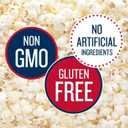 SkinnyPop Popcorn, Original, Whole Grain, Dairy-Free Snack, 0.65oz Bags (6ct)
