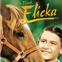 My Friend Flicka [DVD]