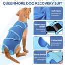 Queenmore Large Recovery Suit for Dogs After Surgery Blue,L Professional Pet Recovery Shirt Dog Abdominal Wounds Bandages, Adjustable Pet Surgery Recovery Suit