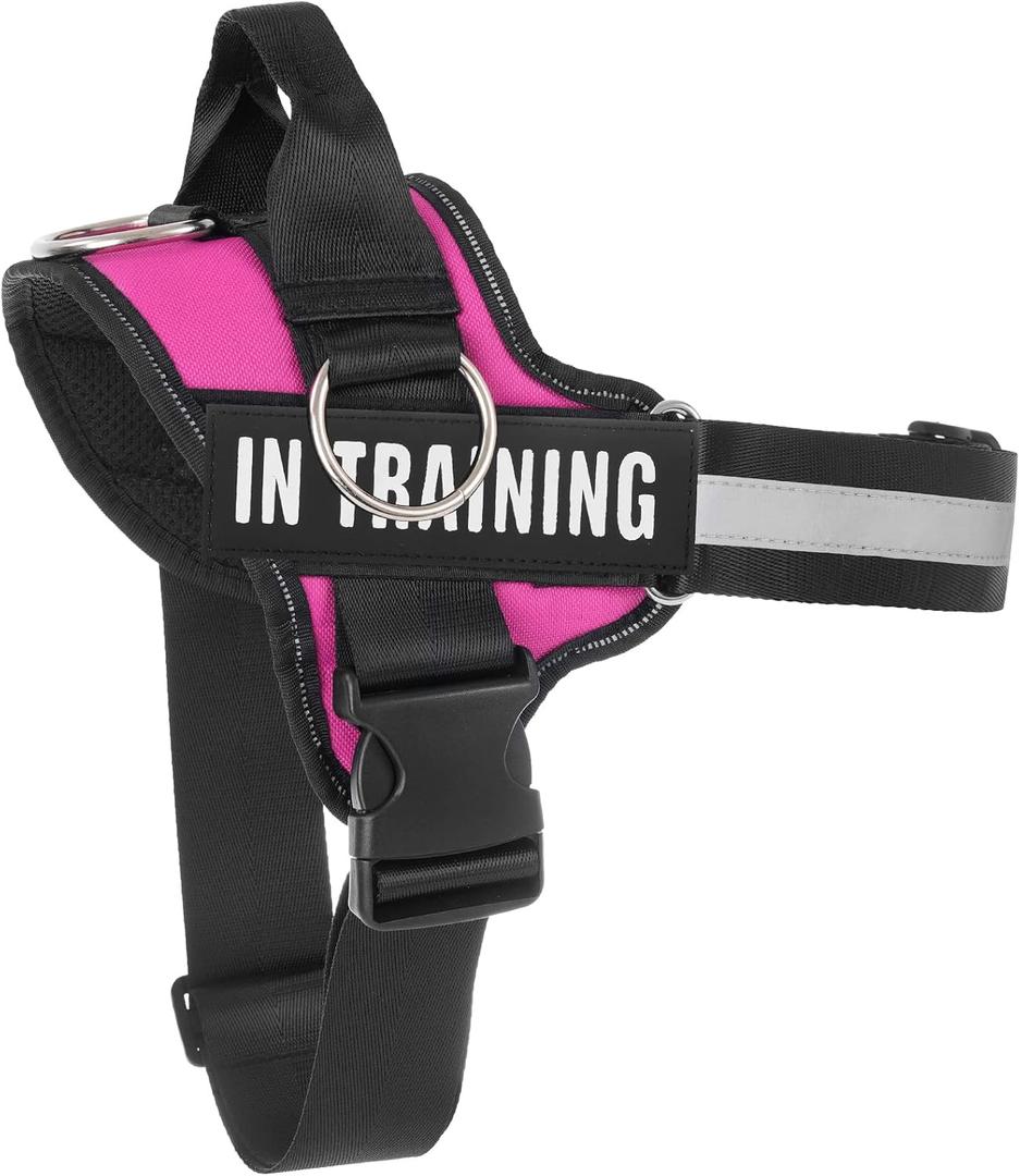 Essential Dog Harness, No Pull Pet Harness with 3 Side Rings for Leash Placement, No Choke, Reflective, Adjustable Pet Vest, Easy On-Off & Improved Control Handle, Training, Walking, Running, L