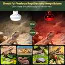 Reptile Heat Lamp Bulbs, 2 Pack 100W Reptile Heat Bulbs UVA Daylight Basking Bulb and Infrared Heat Lamp Red Night Light Bulb Combo for Bearded Dragon Chameleon Turtle Snake Gecko Lizard Chicken Tank