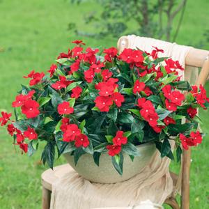 Uqueeten15.7 Fake Flowers Artificial Flowers for Outdoor,Silk Artificial Impatiens Bouquet Flowers for OutdoorsSpring Flowers Flores Artificiales para Decoracion Indoor Decor 8PCS(Red)