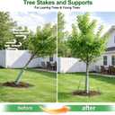 Tree Stakes and Supports Kit, 6 Pack Spiral Tree Stakes with Straps & Turnbuckles, Tree Support Stakes for Leaning Trees and Young Trees