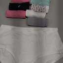 Hanes womens Cotton briefs underwear, 10 Pack - Brief Assorted 1, 7 US.L