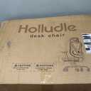 HOLLUDLE Ergonomic Mesh Office Chair - 3D Adjustable Lumbar Support & 3D Armrests, V-Shaped Back, Adjustable Desk Chair for Office & Home, Black