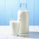 Morning Moos Milk Alternative Can, 93 Servings, 20 Year Shelf Life, Certified Gluten Free - Canned Vitamin-Fortified Whey-Based Milk Powder for Drinking and Baking, Emergency Food Supplies (EXP 02/10/46)