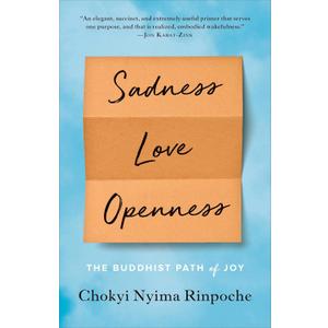 Sadness, Love, Openness: The Buddhist Path of Joy