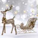 Lighted Christmas Decorations Deer & Sleigh 2 Pcs - HOYECHI Light up Christmas Decor Rattan Deer Set for Indoor Home Outdoor Front Yard Porch with 160 LED Lights, Extension Cord, Ground Stakes - Brown