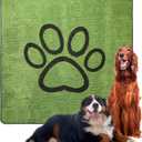 Qeils Reusable Dog Pee Pads, 1 Pack Super Absorbent & Leakproof Washable Puppy Pads with Soft Green Top Layer, for Potty Training, Crates, Couch, Car Seats & Pet Beds, 72"x 72"