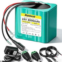 Mspalocell 24V 4Ah Rechargeable Lithium Replacement Battery with Charger Bare Leads Wires Compatible for 24V Devices,DIY Speaker