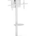 Rolling TV Stand for 10-46 Inch TVs, Small Mobile TV Cart with Shelf and Hidden Wheels,Portrait to Landscape,Modern Floor Mobile TV Stand for Living Room,Height Adjustable,Max VESA 200x200mm (White)