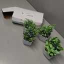 Der Rose 4 Pack Fake Plants Mini Artificial Greenery Potted Plants for Home Decor Indoor Office Table Room Farmhouse Bathroom Decor