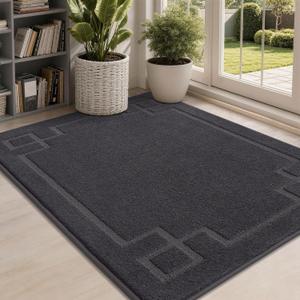 BEQHAUSE Door Mat 32" x 48", Non-Slip Door Mats Indoor Entryway Rugs Washable Low-Profile Absorbent and Stain Resist Floor Mats, Dog Door Mat for Front Back Door, Mud Wet Shoes & Paws, Dark Grey